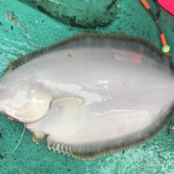 広進丸 釣果