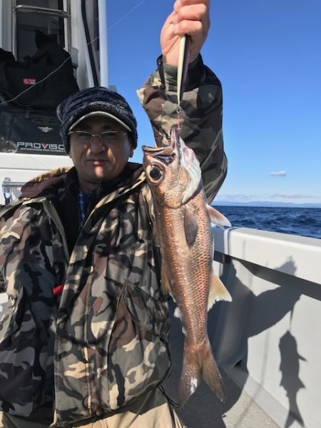 へいみつ丸 釣果