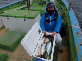 久里浜黒川本家 釣果