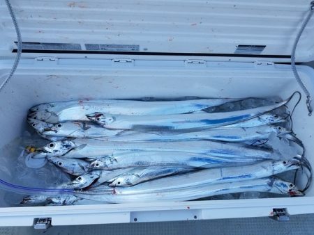 遊漁船　ニライカナイ 釣果