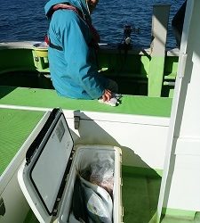 利八丸 釣果