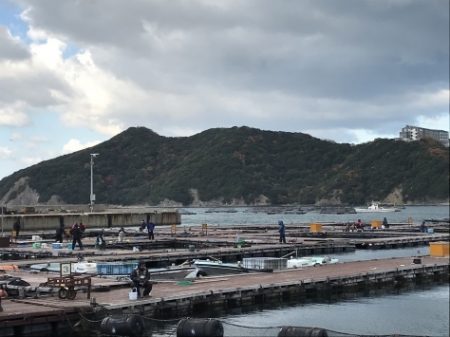 淡路じゃのひれフィッシングパーク 釣果