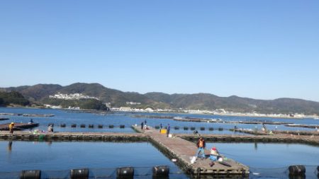 淡路じゃのひれフィッシングパーク 釣果