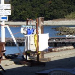 淡路じゃのひれフィッシングパーク 釣果