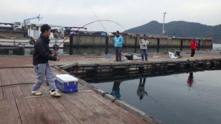 淡路じゃのひれフィッシングパーク 釣果