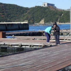 淡路じゃのひれフィッシングパーク 釣果