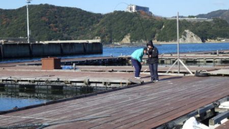 淡路じゃのひれフィッシングパーク 釣果