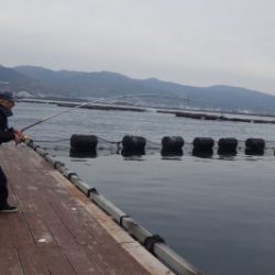 淡路じゃのひれフィッシングパーク 釣果