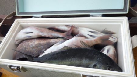 淡路じゃのひれフィッシングパーク 釣果