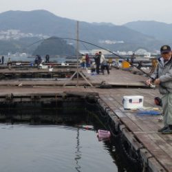 淡路じゃのひれフィッシングパーク 釣果