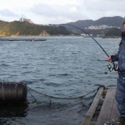 淡路じゃのひれフィッシングパーク 釣果