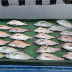 淡路じゃのひれフィッシングパーク 釣果