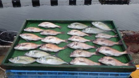 淡路じゃのひれフィッシングパーク 釣果