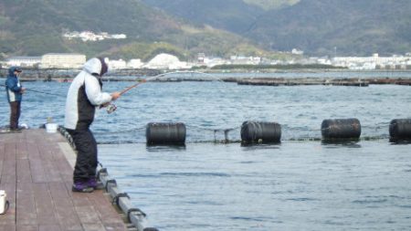 淡路じゃのひれフィッシングパーク 釣果