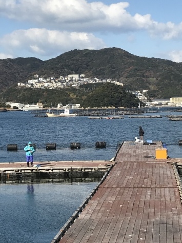 淡路じゃのひれフィッシングパーク 釣果