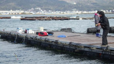 淡路じゃのひれフィッシングパーク 釣果
