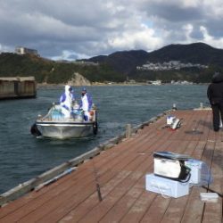 淡路じゃのひれフィッシングパーク 釣果