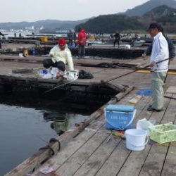 淡路じゃのひれフィッシングパーク 釣果