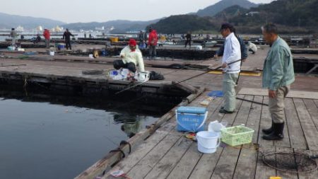淡路じゃのひれフィッシングパーク 釣果