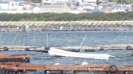 淡路じゃのひれフィッシングパーク 釣果