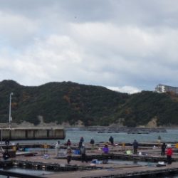 淡路じゃのひれフィッシングパーク 釣果