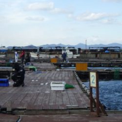 淡路じゃのひれフィッシングパーク 釣果