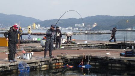 淡路じゃのひれフィッシングパーク 釣果