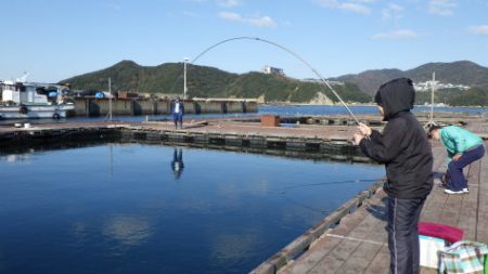 淡路じゃのひれフィッシングパーク 釣果