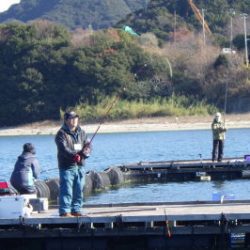 淡路じゃのひれフィッシングパーク 釣果