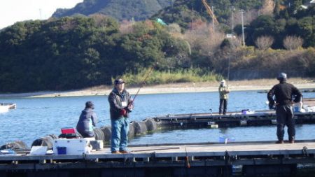 淡路じゃのひれフィッシングパーク 釣果