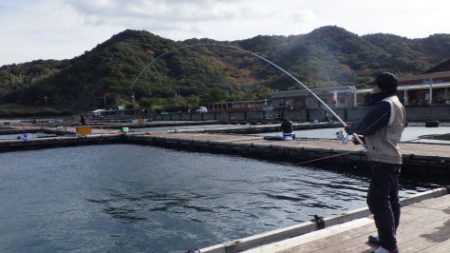 淡路じゃのひれフィッシングパーク 釣果