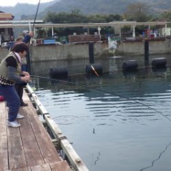 淡路じゃのひれフィッシングパーク 釣果