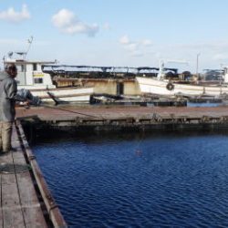 淡路じゃのひれフィッシングパーク 釣果