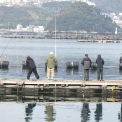 淡路じゃのひれフィッシングパーク 釣果