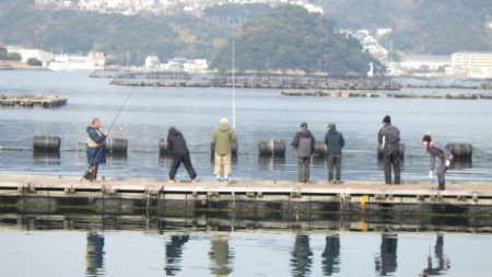 淡路じゃのひれフィッシングパーク 釣果