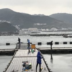 淡路じゃのひれフィッシングパーク 釣果