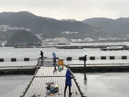 淡路じゃのひれフィッシングパーク 釣果