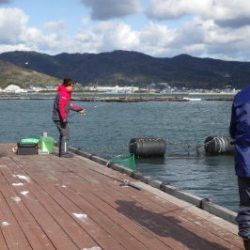 淡路じゃのひれフィッシングパーク 釣果