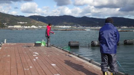 淡路じゃのひれフィッシングパーク 釣果