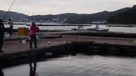 淡路じゃのひれフィッシングパーク 釣果