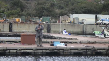 淡路じゃのひれフィッシングパーク 釣果