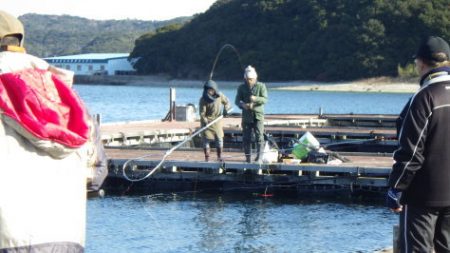 淡路じゃのひれフィッシングパーク 釣果