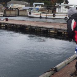 淡路じゃのひれフィッシングパーク 釣果