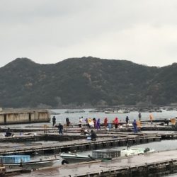 淡路じゃのひれフィッシングパーク 釣果