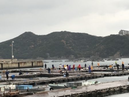 淡路じゃのひれフィッシングパーク 釣果