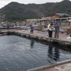 淡路じゃのひれフィッシングパーク 釣果