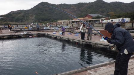 淡路じゃのひれフィッシングパーク 釣果