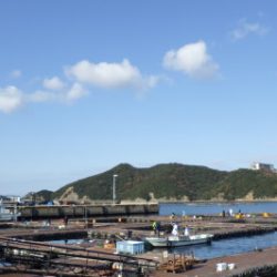 淡路じゃのひれフィッシングパーク 釣果