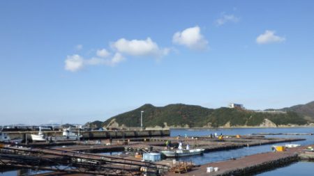 淡路じゃのひれフィッシングパーク 釣果