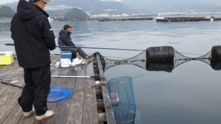 淡路じゃのひれフィッシングパーク 釣果